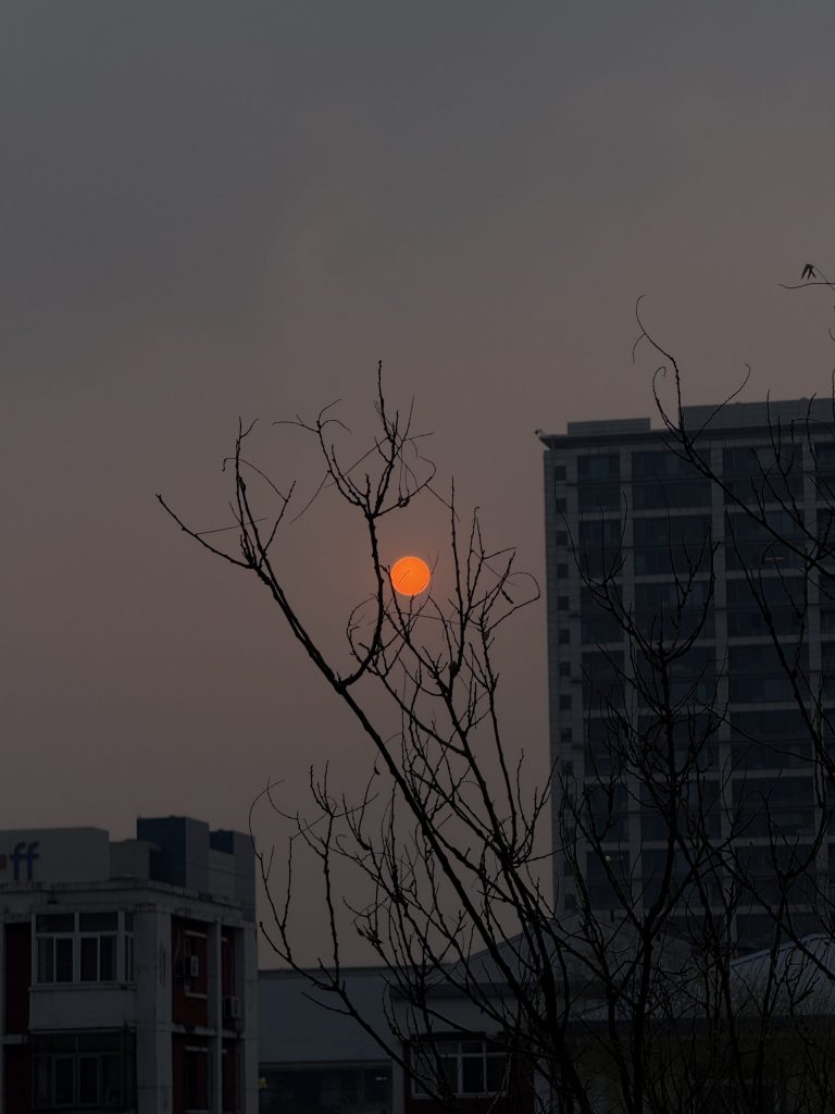 2025年3月9日，于北京。